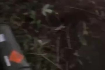 Найточніші снаряди НАТО невдовзі будуть в Україні Найточніші снаряди НАТО невдовзі будуть в Україні