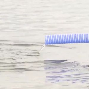 До річок Миколаївщини випустили 318 тисяч мальків щуки До річок Миколаївщини випустили 318 тисяч мальків щуки