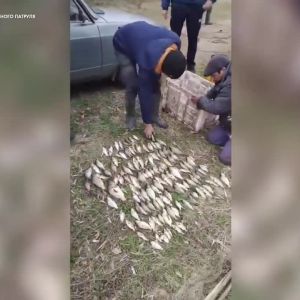 Черкаський рибоохоронний патруль ловить порушників правил рибальства на нерестовищах Черкаський рибоохоронний патруль ловить порушників правил рибальства на нерестовищах