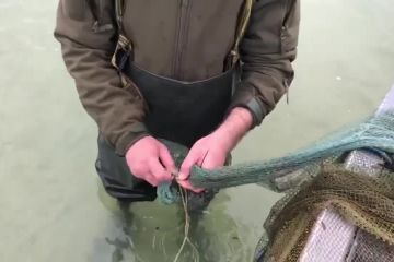 Працівниками Держрибагентства врятовано від браконьєрських ятерів понад мільйон водних біоресурсів Працівниками Держрибагентства врятовано від браконьєрських ятерів понад мільйон водних біоресурсів