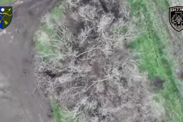 Пілоти батальйону «Жнець» 23 ОМБр миттєво реагують на загрози Пілоти батальйону «Жнець» 23 ОМБр миттєво реагують на загрози