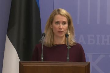 17.05.2021 Онлайн-брифінг  Дениса Шмигаля і Каї Каллас 17.05.2021 Онлайн-брифінг  Дениса Шмигаля і Каї Каллас