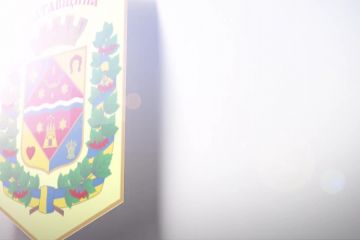 Навчальна зброя Навчальна зброя