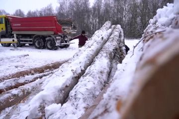 Сили оборони продовжують безперервно укріплювати кордон на півночі України Сили оборони продовжують безперервно укріплювати кордон на півночі України