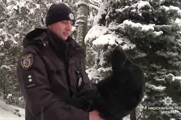 Знайдуть злочинця у натовпі та в лісі: як поліцейські кінологи та їх чотирилапі помічники іспити складали Знайдуть злочинця у натовпі та в лісі: як поліцейські кінологи та їх чотирилапі помічники іспити складали