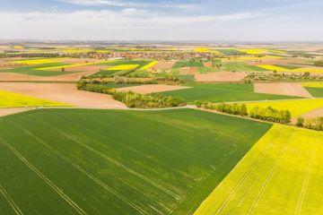 Примусове відбирання земельних ділянок для будівлі державних доріг Примусове відбирання земельних ділянок для будівлі державних доріг