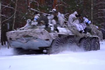 Ситуація на північному кордоні стабільна, накопичення сил ворога не спостерігається - Наєв Ситуація на північному кордоні стабільна, накопичення сил ворога не спостерігається - Наєв