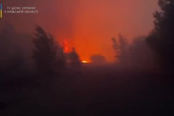 Вчора, 17 травня, у Вишгородському районі Київщини сталася пожежа Вчора, 17 травня, у Вишгородському районі Київщини сталася пожежа