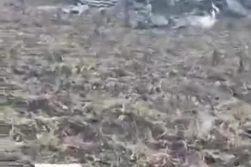 ​Орки збили свою же ж "сушку" на Луганщині