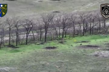 Полювання за окупантами силами батальйону безпілотних систем «Жнець» 23 Омбр Полювання за окупантами силами батальйону безпілотних систем «Жнець» 23 Омбр