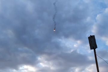 Ще одне відео флешмобу путінських коршунів Ще одне відео флешмобу путінських коршунів