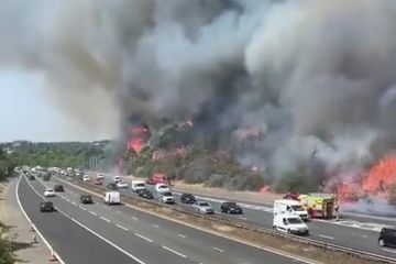 У Лондоні вчора було зафіксовано температурний рекорд — 113 за Фаренгейтом (45°C) У Лондоні вчора було зафіксовано температурний рекорд — 113 за Фаренгейтом (45°C)