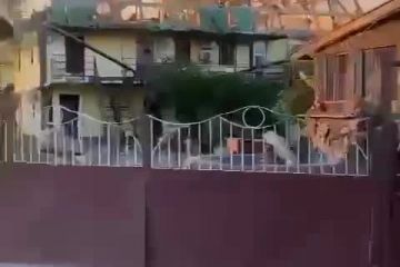 «Ранок. Звичайне село Затока. Люди відпочивали та жили. Просто жили. Ні баз, ні військ. Просто терористам із рф захотілося постріляти. За все відповідатимуть. Кожен. Кожен «освободітєль», який руйнує наше життя» «Ранок. Звичайне село Затока. Люди відпочивали та жили. Просто жили. Ні баз, ні військ. Просто терористам із рф захотілося постріляти. За все відповідатимуть. Кожен. Кожен «освободітєль», який руйнує наше життя»