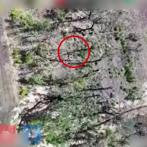 Ворог знешкоджений — робота батальйону «Жнець» 23 ОМБр Ворог знешкоджений — робота батальйону «Жнець» 23 ОМБр