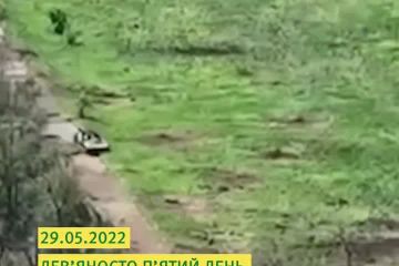 Хроніка 95 доби героїчного протистояння українського народу повномасштабному вторгненню рашистів Хроніка 95 доби героїчного протистояння українського народу повномасштабному вторгненню рашистів