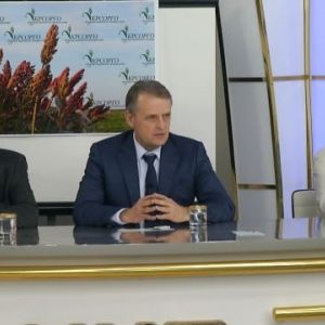 Сорго: біоенергетична культура Сорго: біоенергетична культура